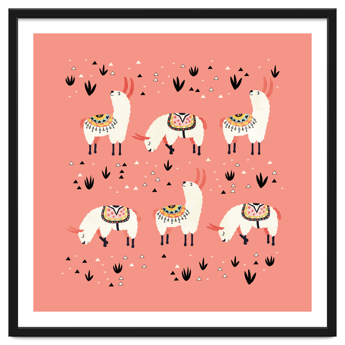 White Llamas In Pink Desert