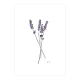 Lavender (Print Only) thumbnail
