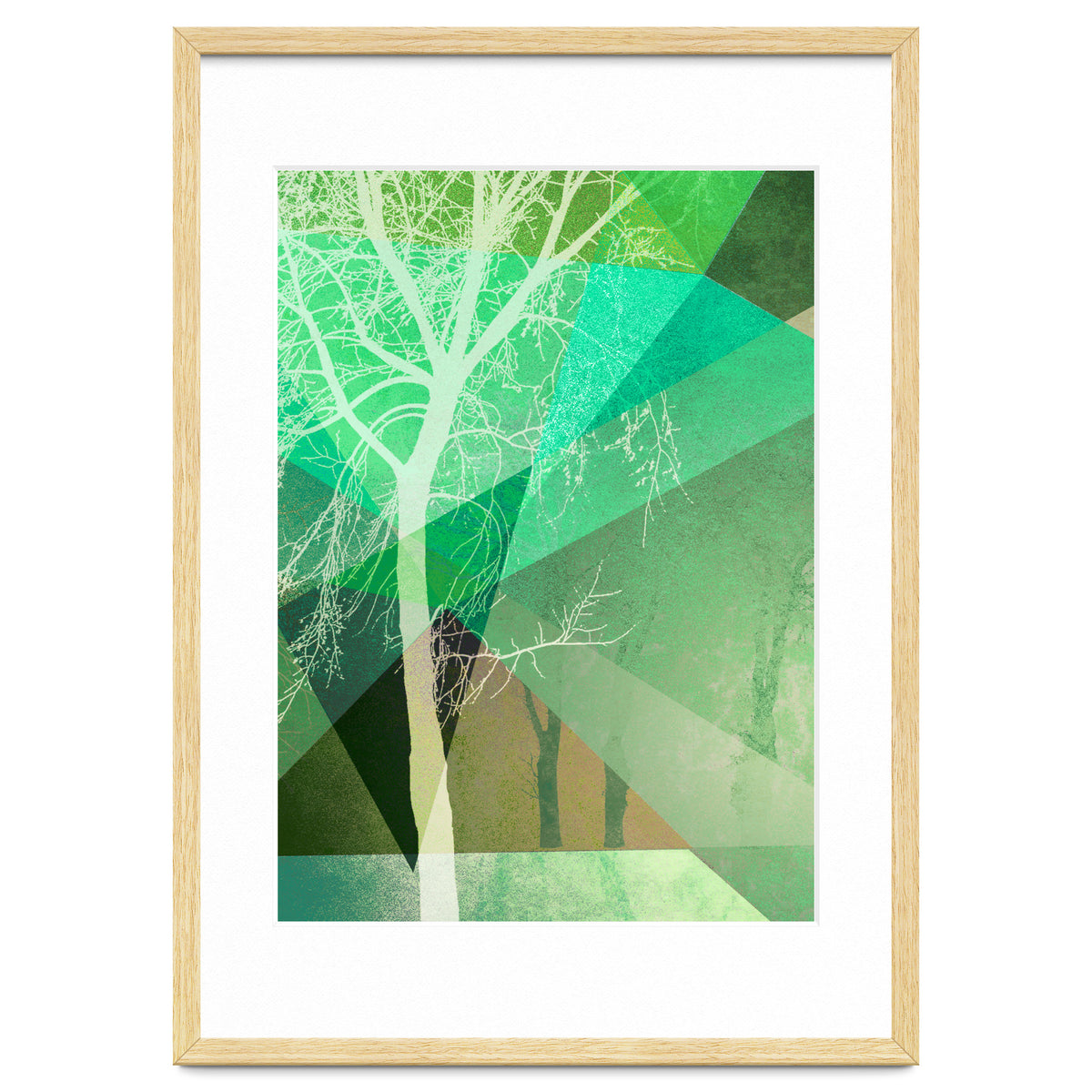 P22 B Trees And Triangles