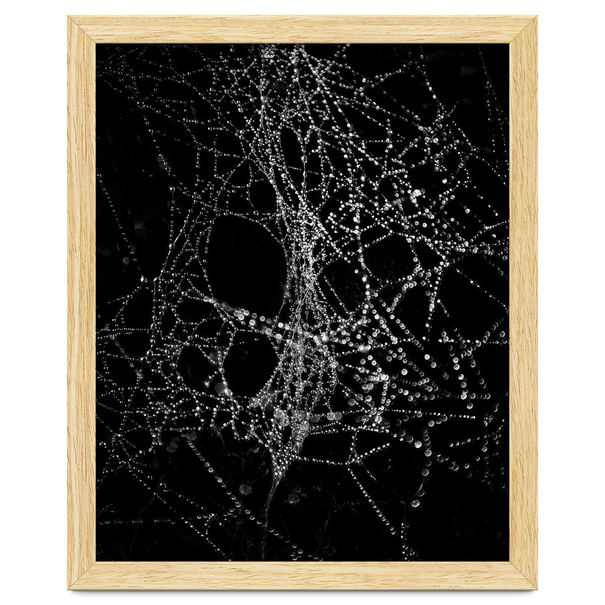 Spiderweb No 4