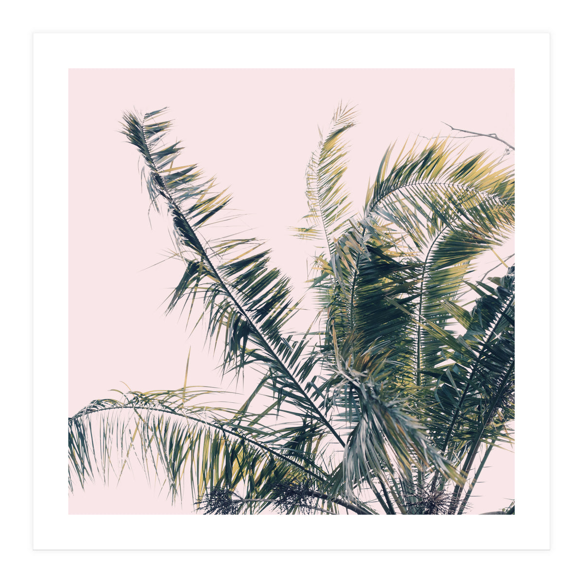 Winds Of Change #1 (Print Only)