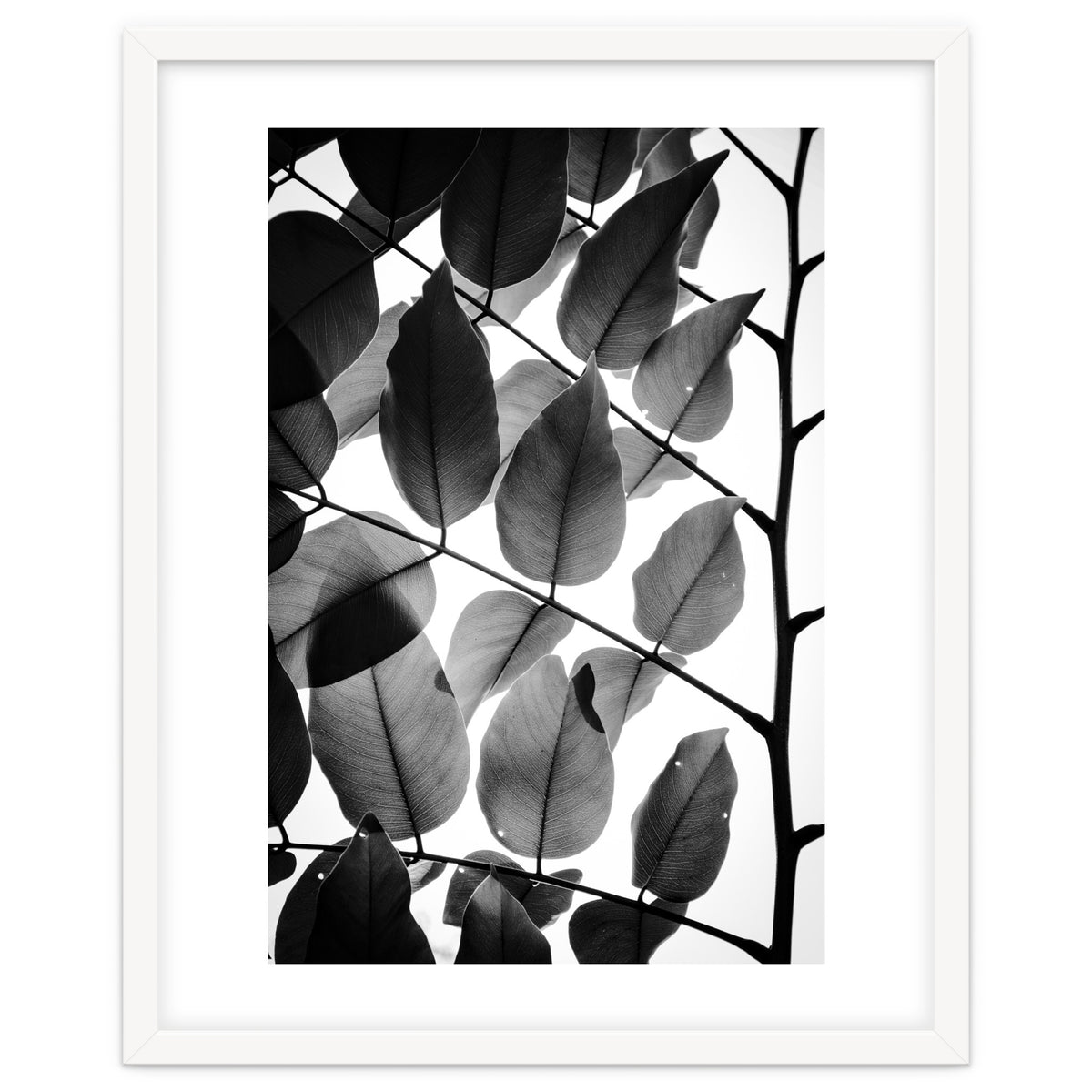 Branches and Leaves II