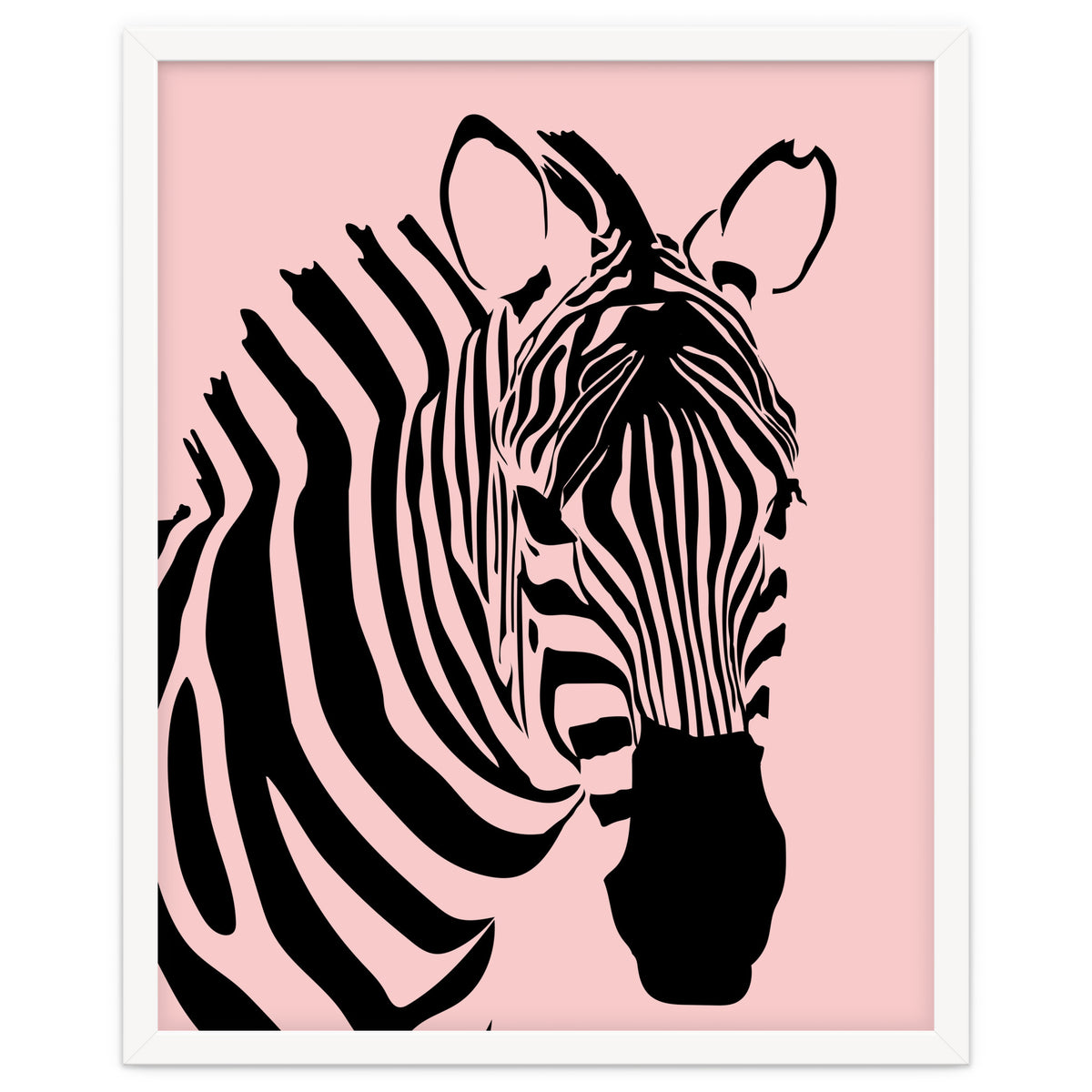 Zebra Stripes