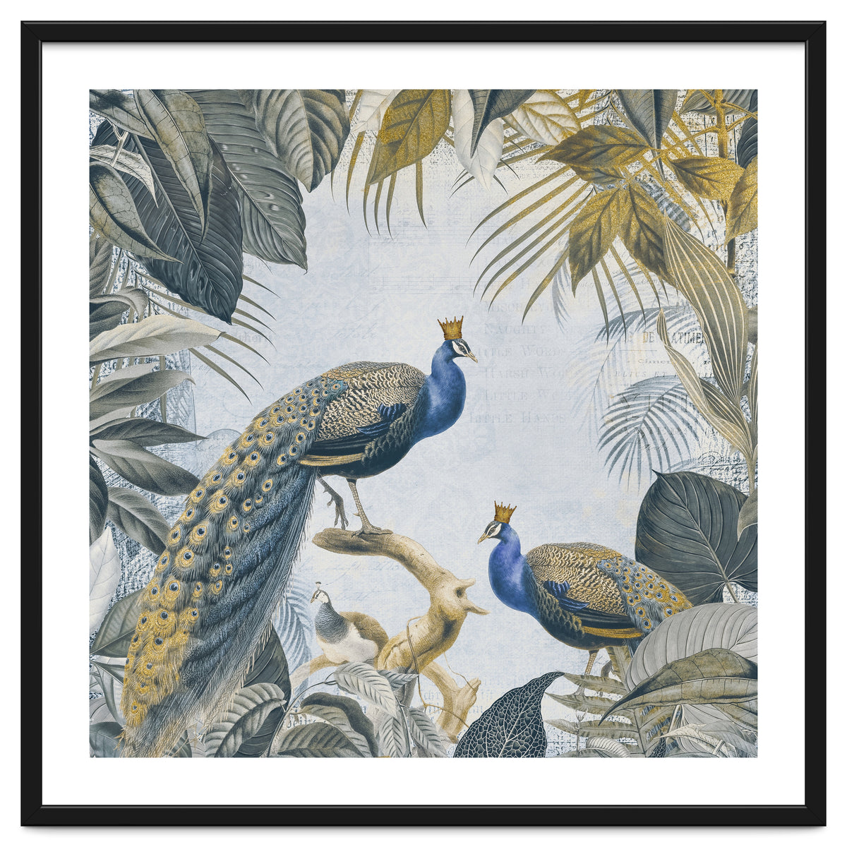 Fantastic Peacock Kings Gold Look