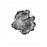 Alaskan Cypress, Tree Ring Art Print, Woodblock (Print Only) thumbnail
