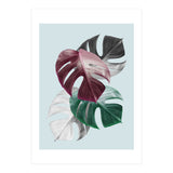 Tropical collage II (Print Only) thumbnail