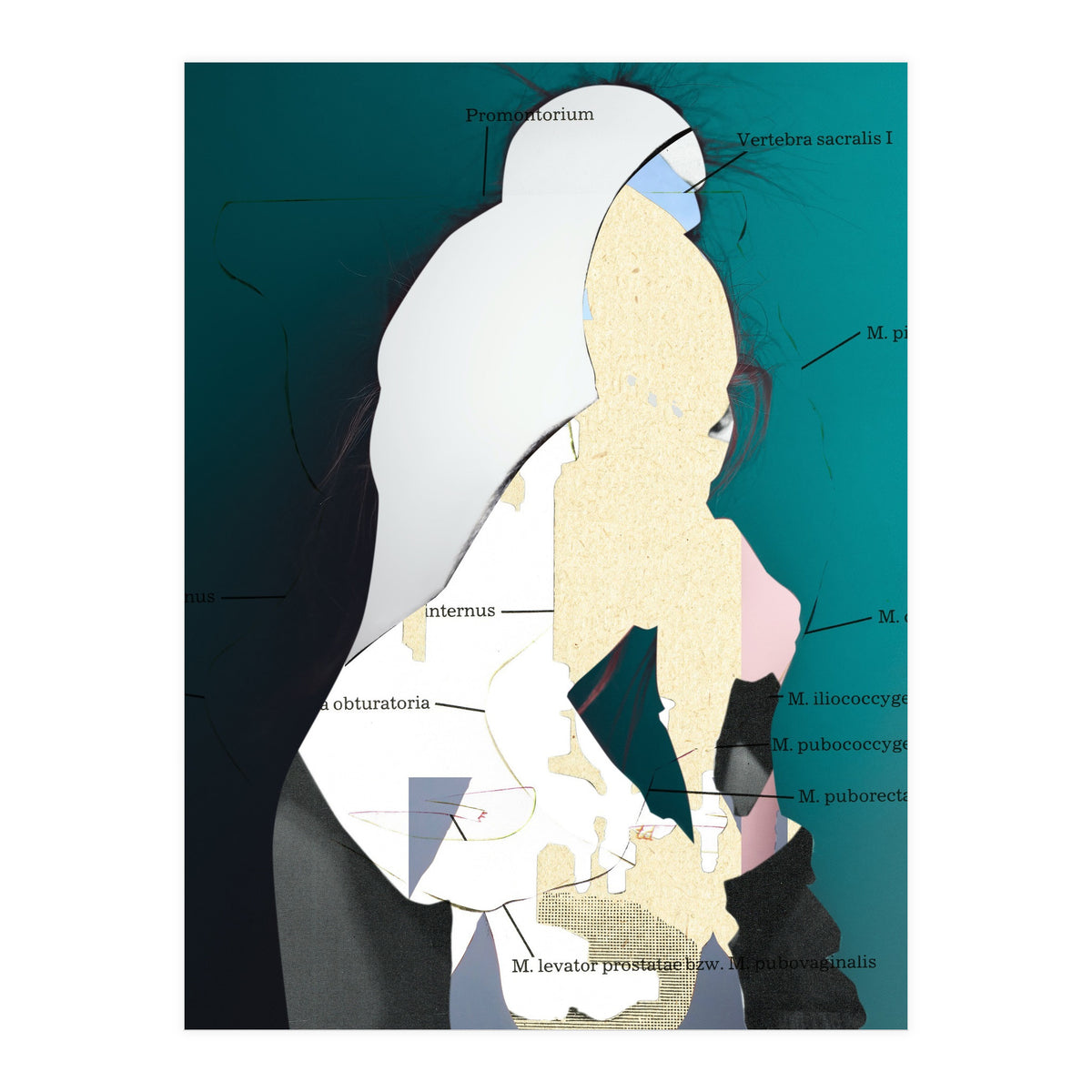 Position Task (Print Only)