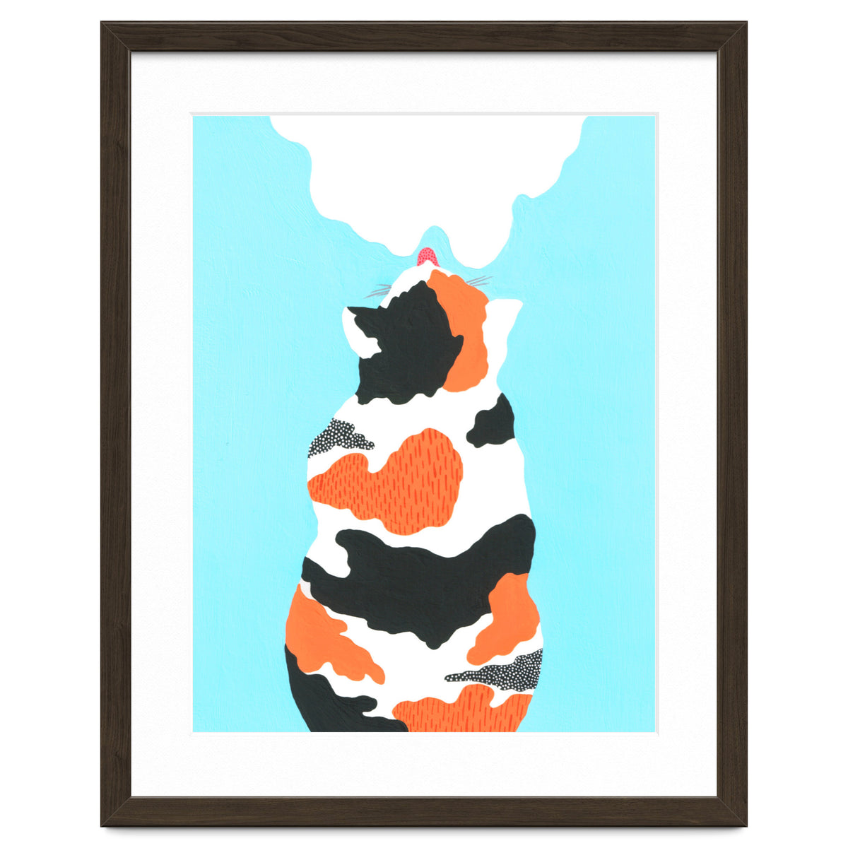 Tri Colored Calico Cat