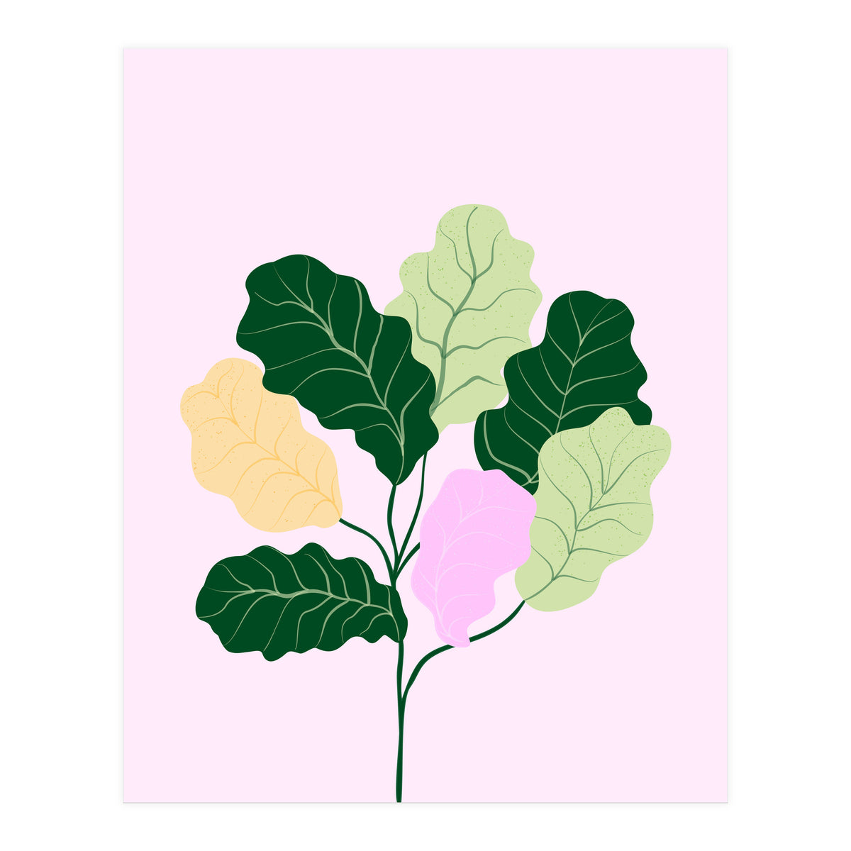 Figleaf (Print Only)