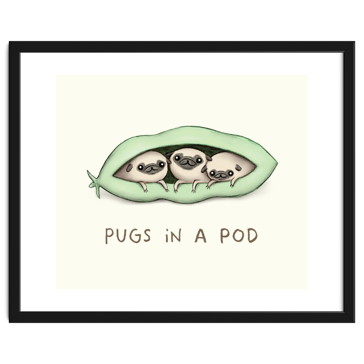 Pugs In A Pod
