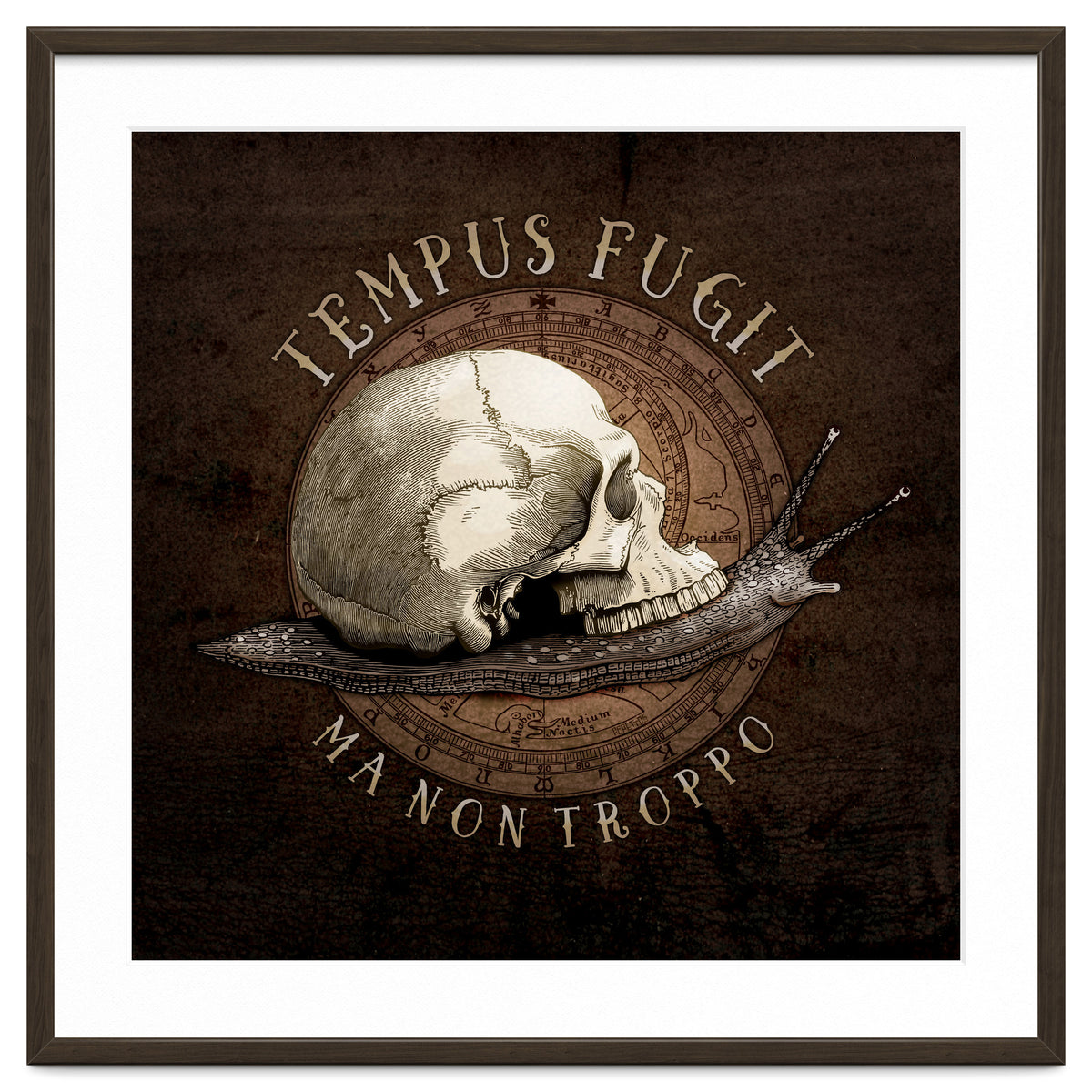 Tempus Fugit (ma non troppo)