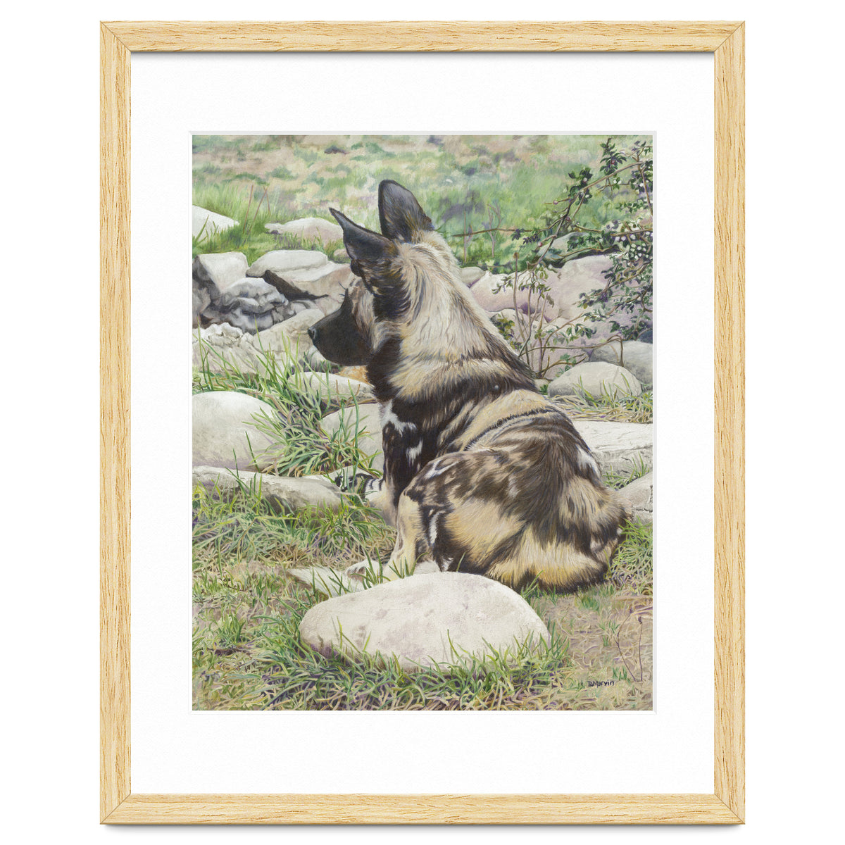 African Painted Dog I