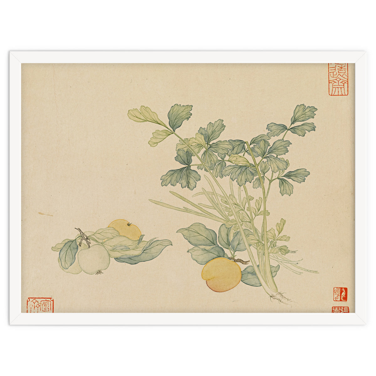 Wang Chengyu~flowers And Vegetables, Vegetables, Fruits, Plums, Apricots, Celery