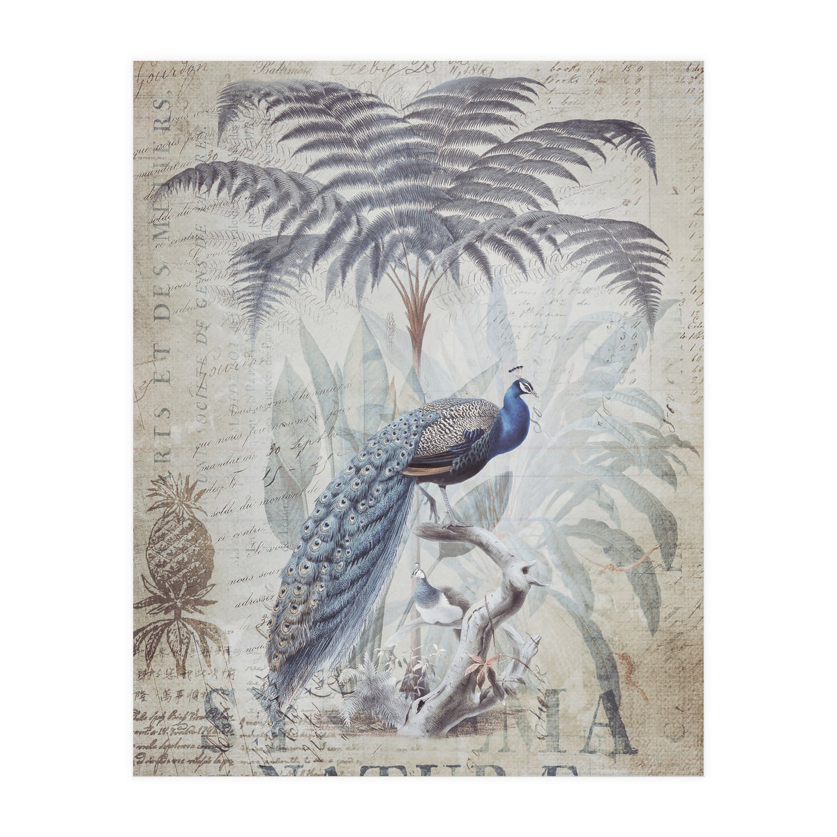 Peacock Jungle (Print Only)