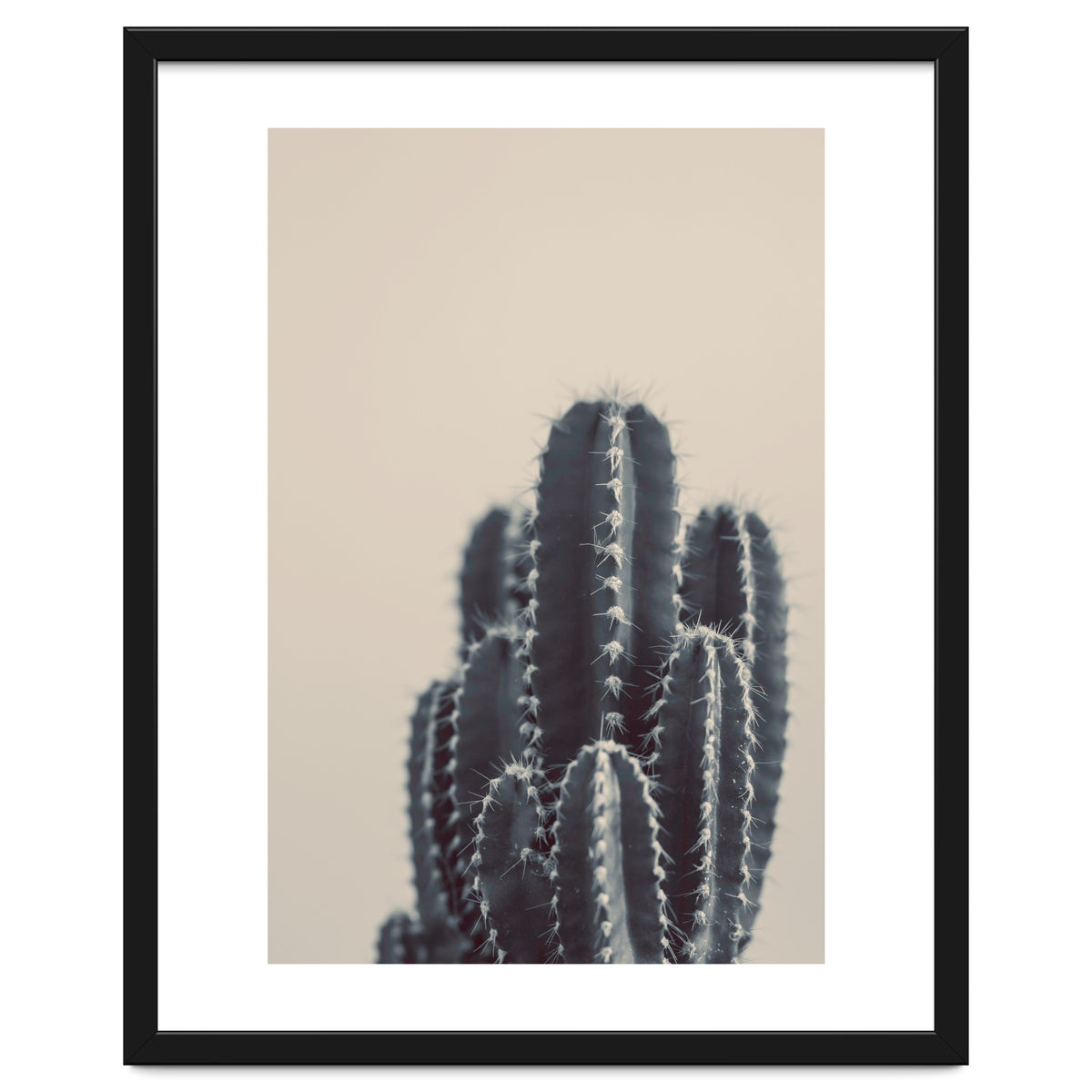 Vintage Cactus #1