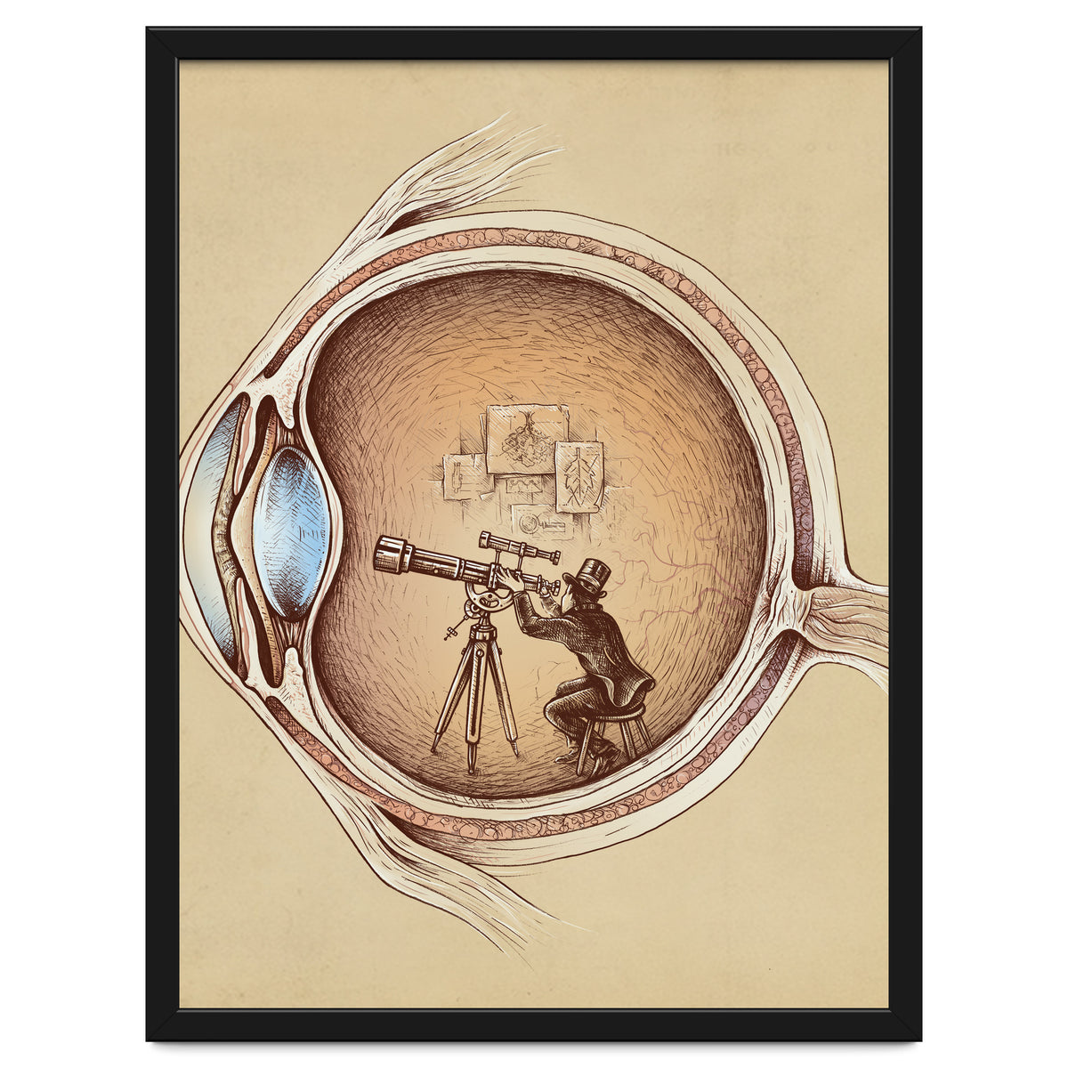 Extraordinary Observer