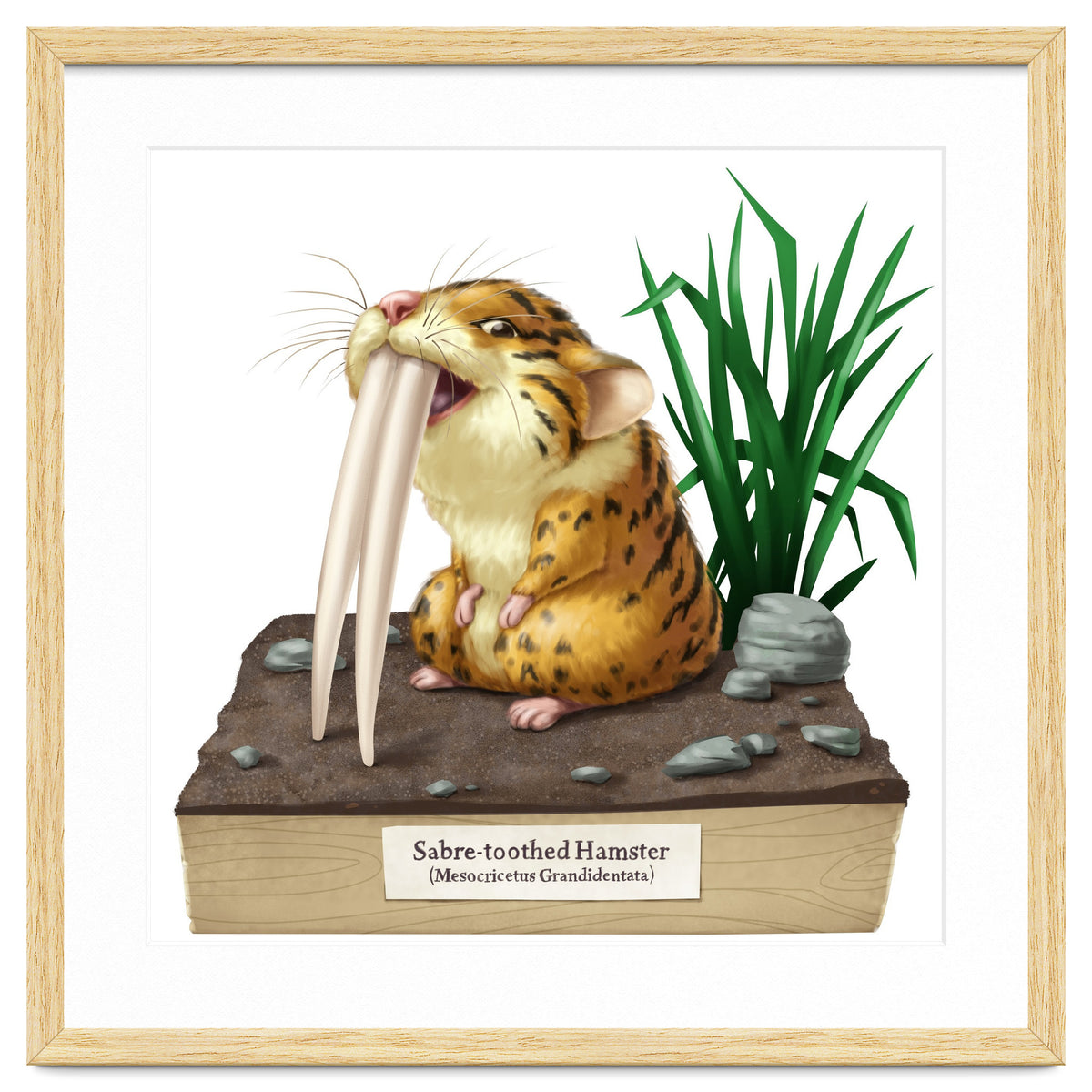 Saber-toothed Hamster