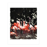 Flamingoes Under The Banyan Tree (Print Only) thumbnail