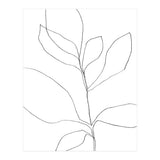 Seven Leaf Plant (Print Only) thumbnail