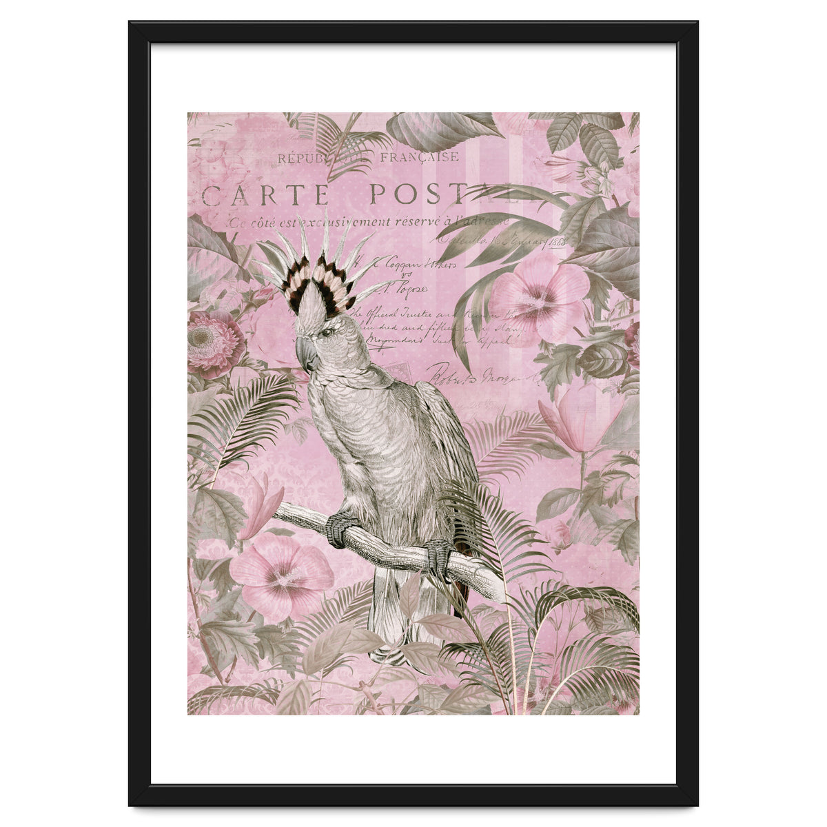 Jungle Cockatoo Pink