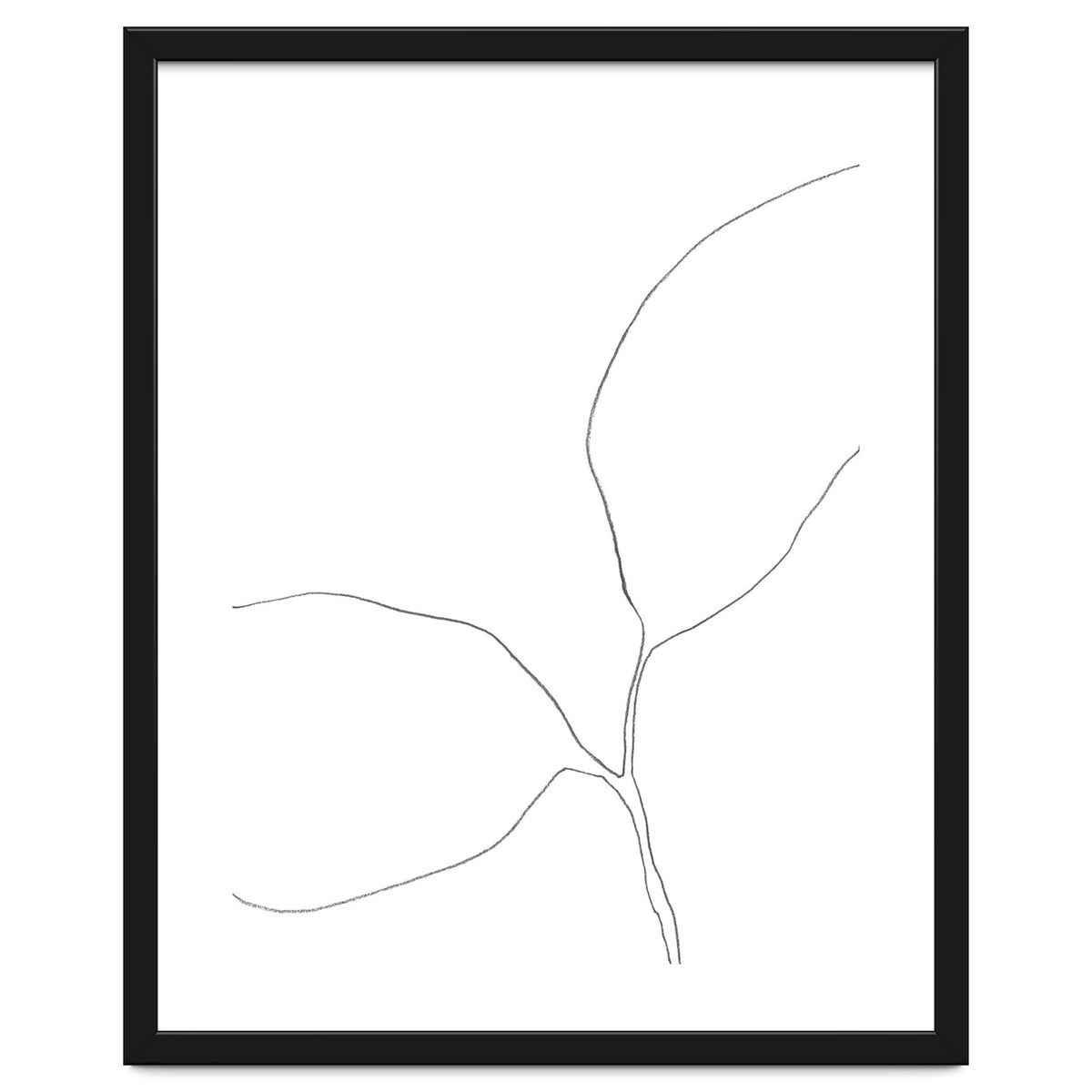 Seedling Leaning Left