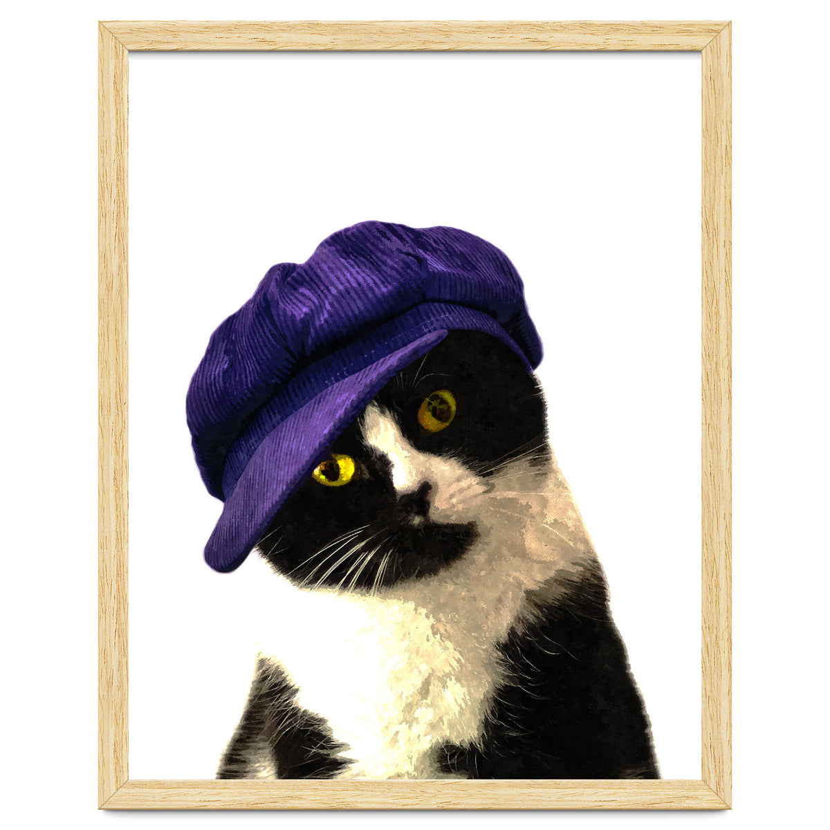 Cat Blue Hat