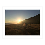 Lost Coast (Print Only) thumbnail
