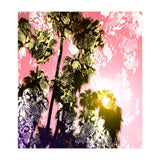 Snake sunset in paradise  (Print Only) thumbnail