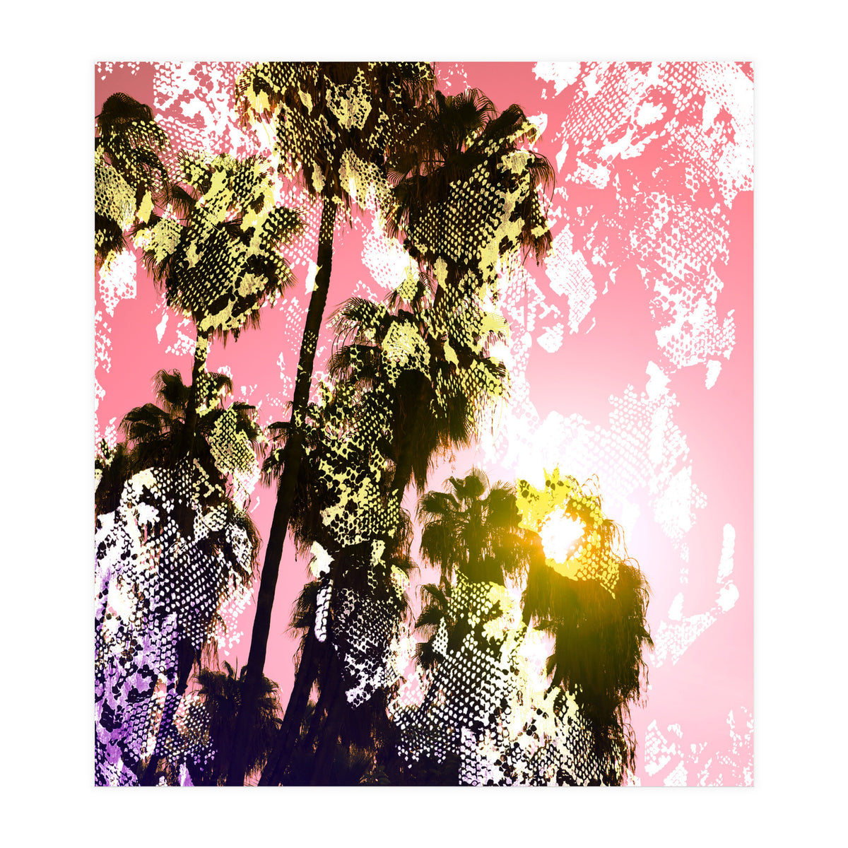 Snake sunset in paradise  (Print Only)