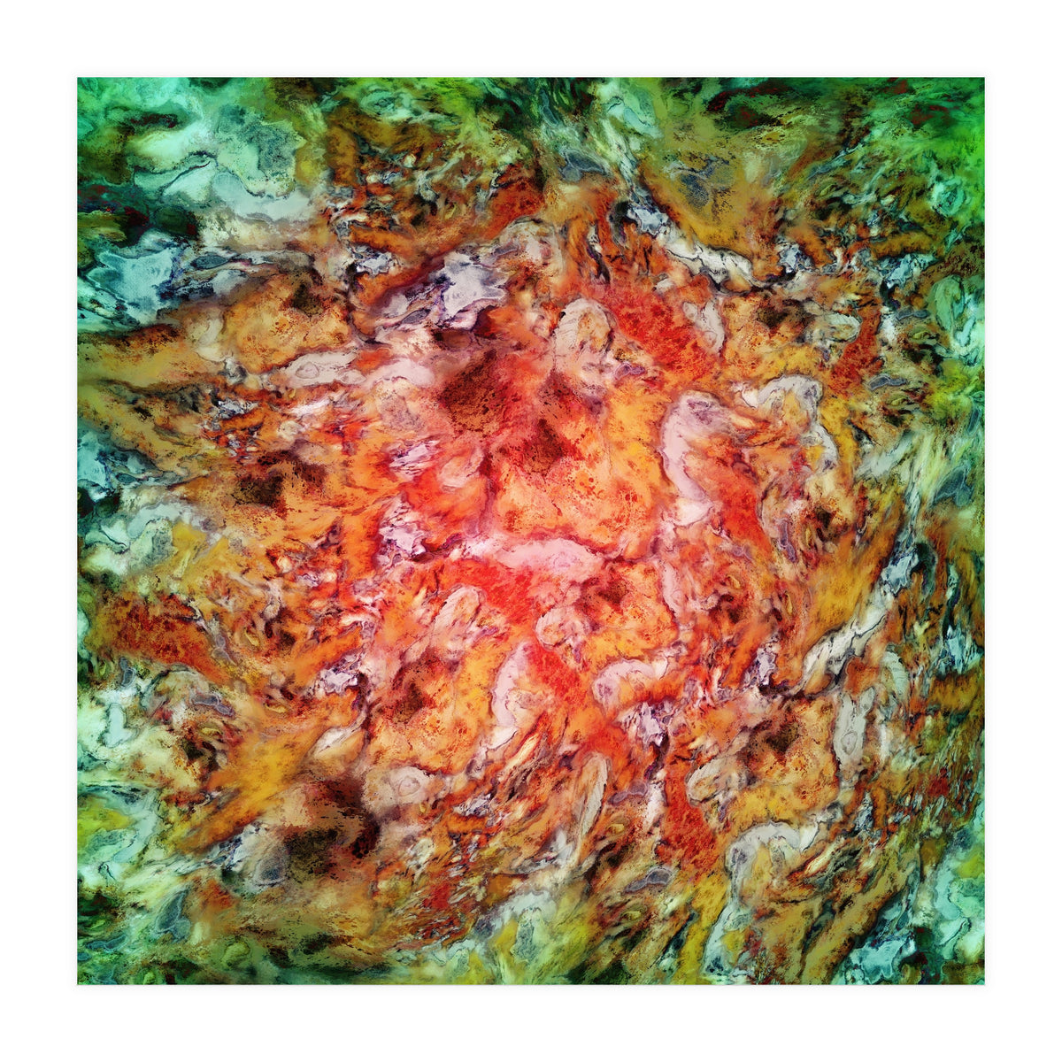 The Beautiful Evidence (Print Only)