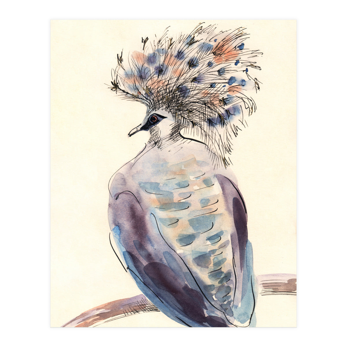 Crowned Pigeon (Print Only)