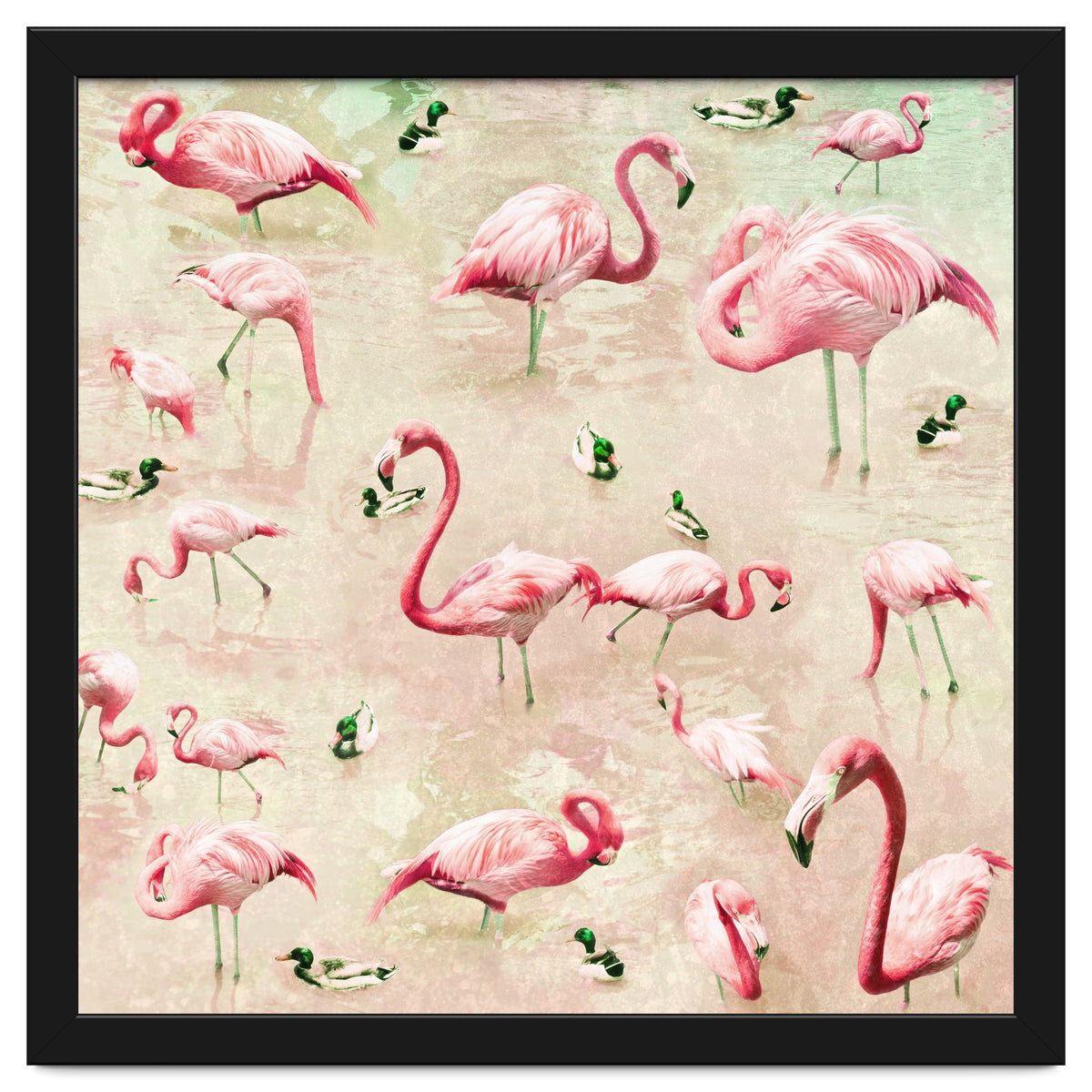 Flamingos Vintage Pink