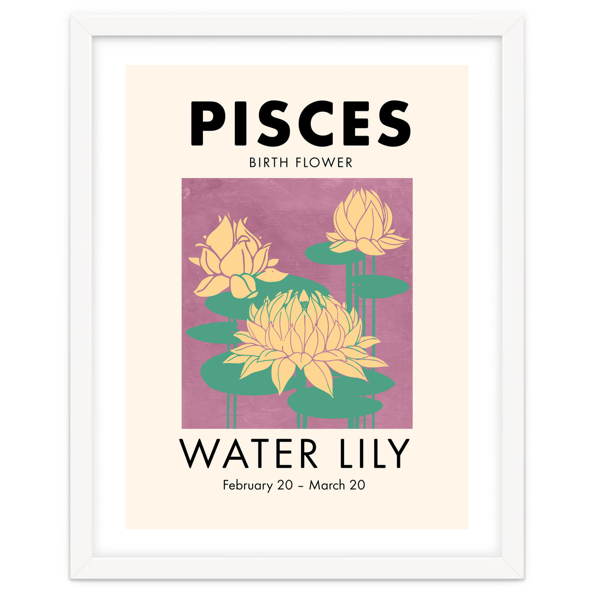Pisces Birth Flower Water Lily