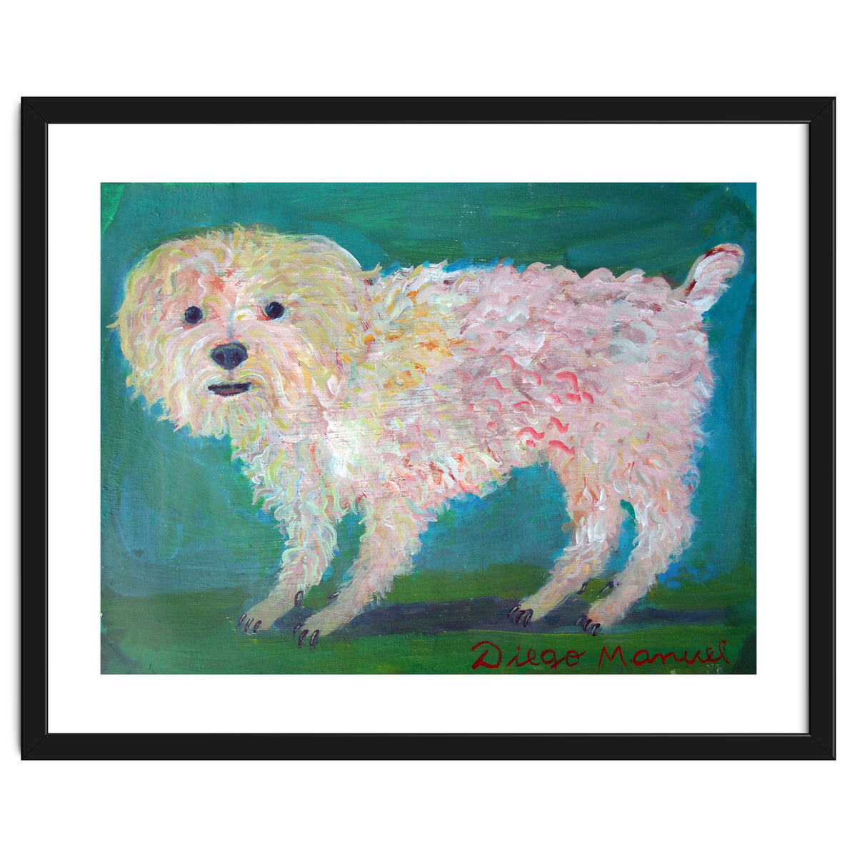 Caniche Blanco De Diego Manuel Rodriguez