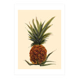 Pineapple (Print Only) thumbnail