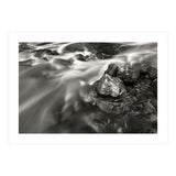 The Stream (Print Only) thumbnail