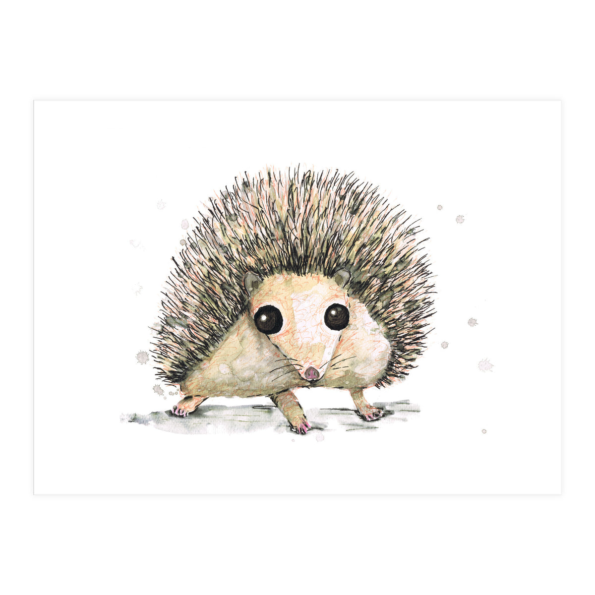Hedgehog (Print Only)