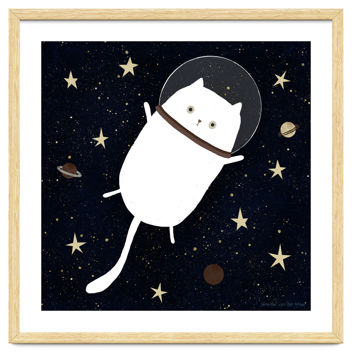 Cat 32: Cats in space!