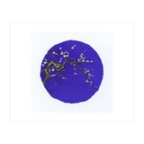 Circle 3 (Print Only) thumbnail