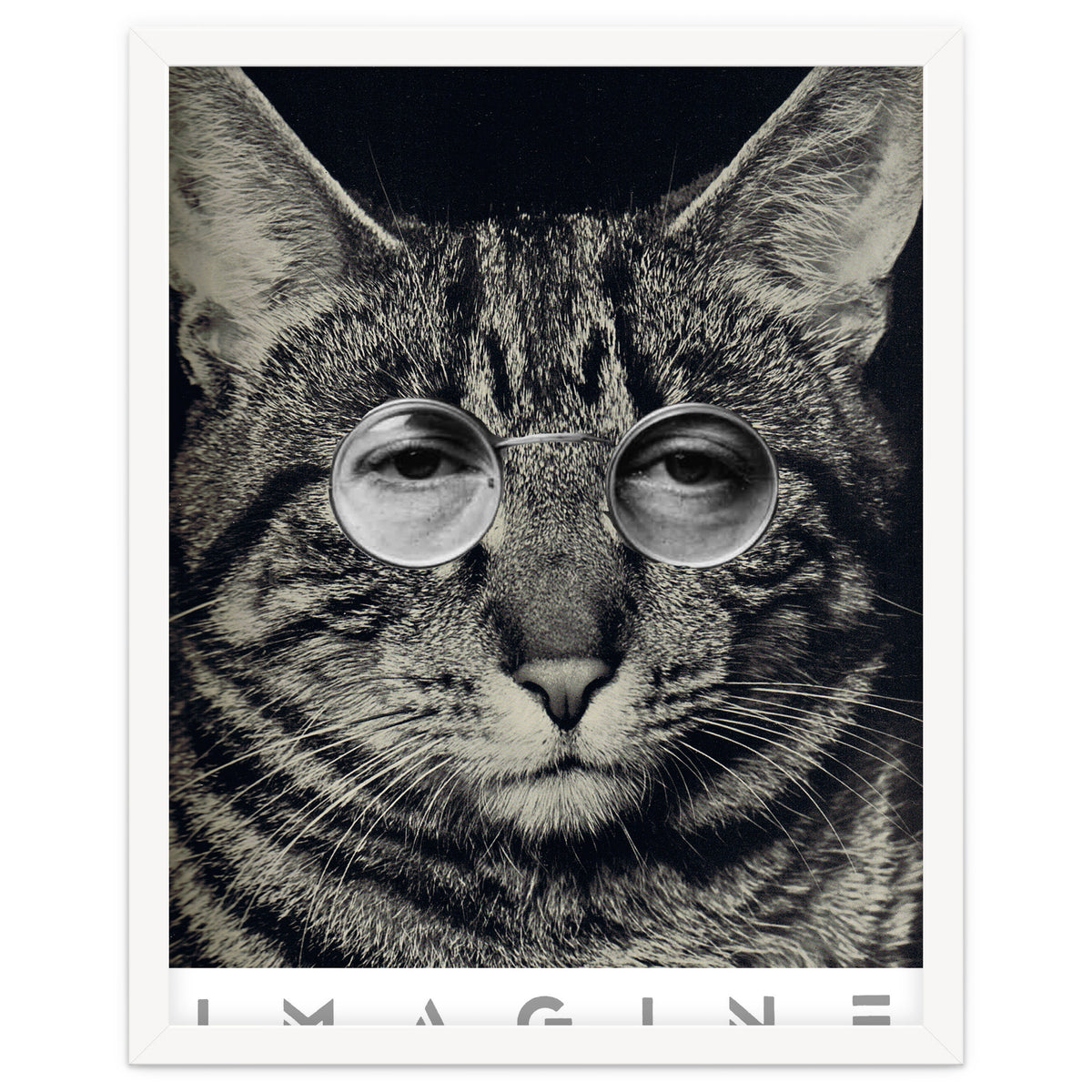 Imagine
