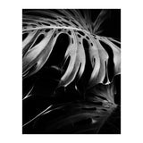 monstera nature (Print Only) thumbnail