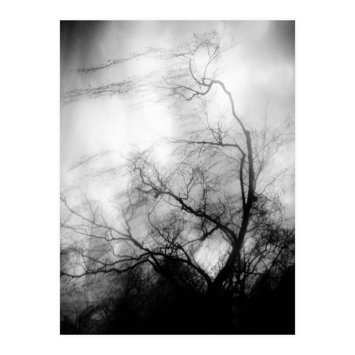 love wish (Print Only)