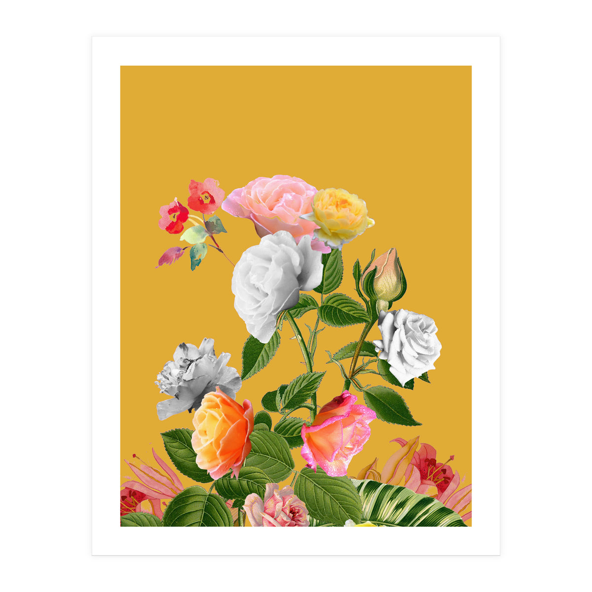 Floral Pop (Print Only)