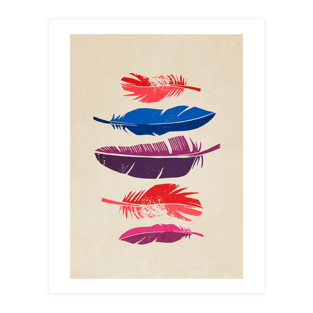 Feathers (Print Only)