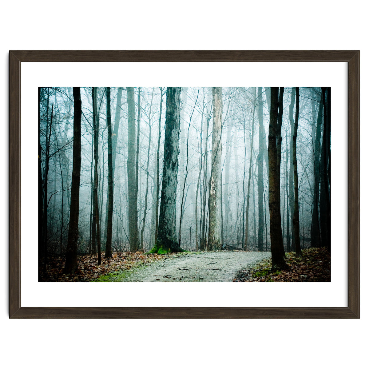 Gather Up Your Dreams