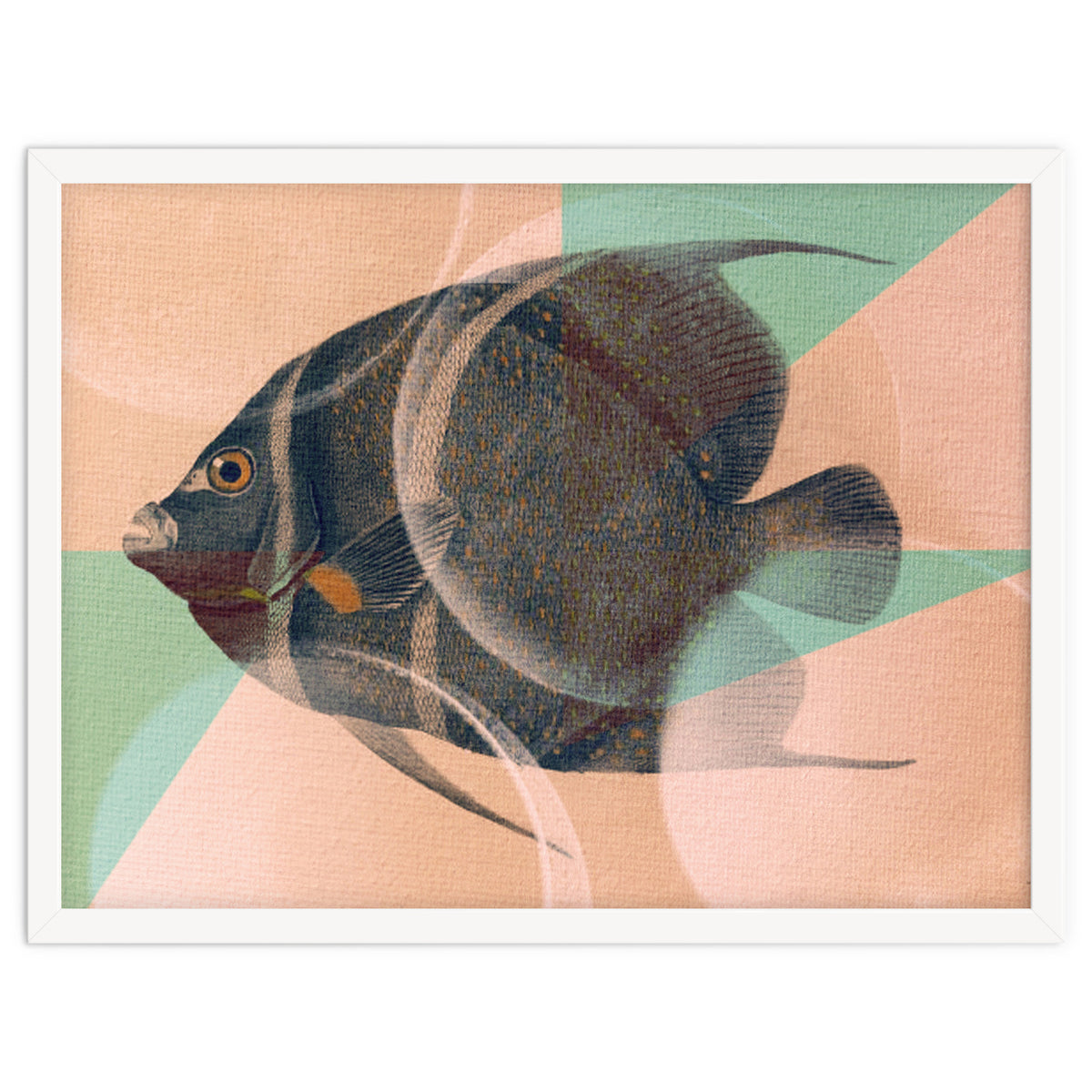 Fish Between Circles 2
