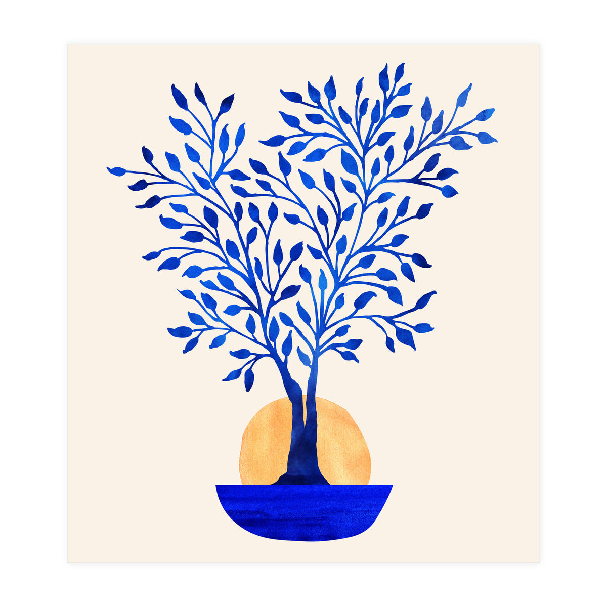 Indigo Ficus Sunrise (Print Only)