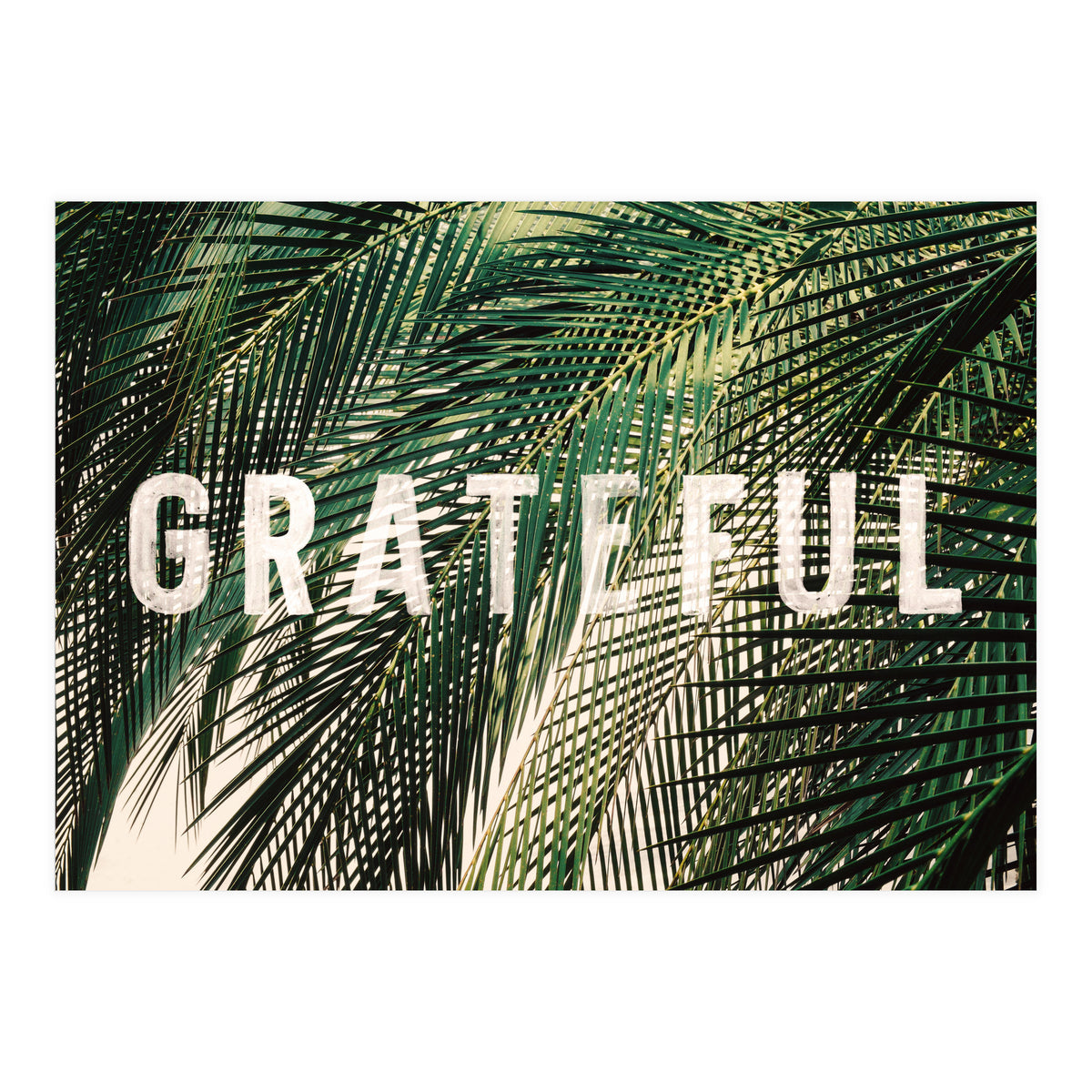 Grateful  (Print Only)