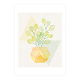 Geometry and House Plant (Print Only) thumbnail