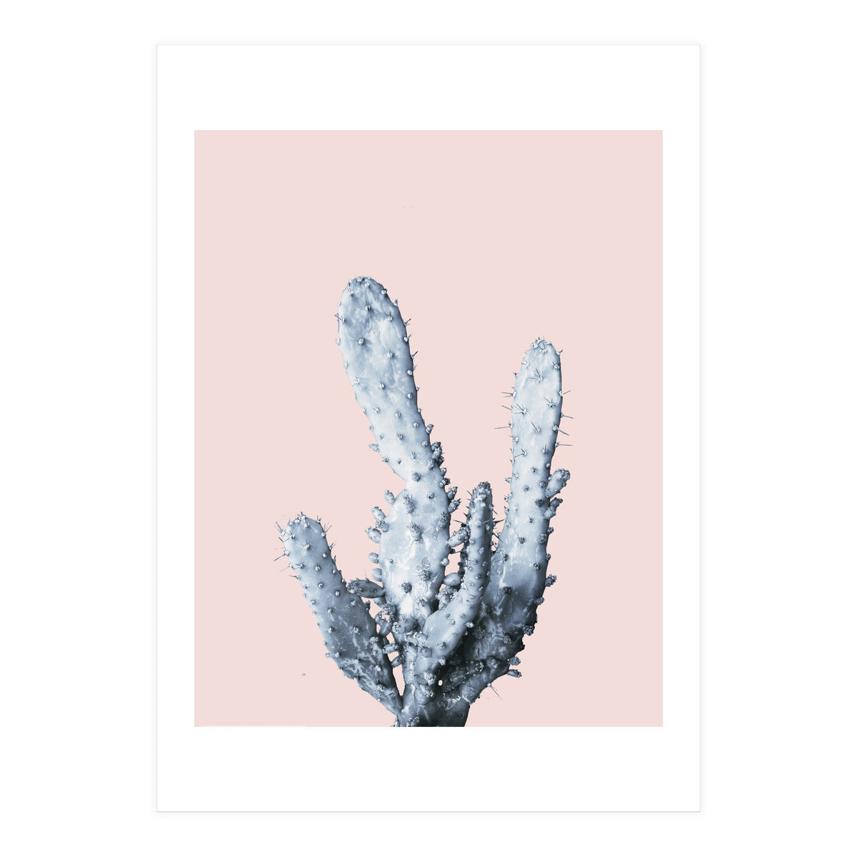 Cactus collection BL-I (Print Only)